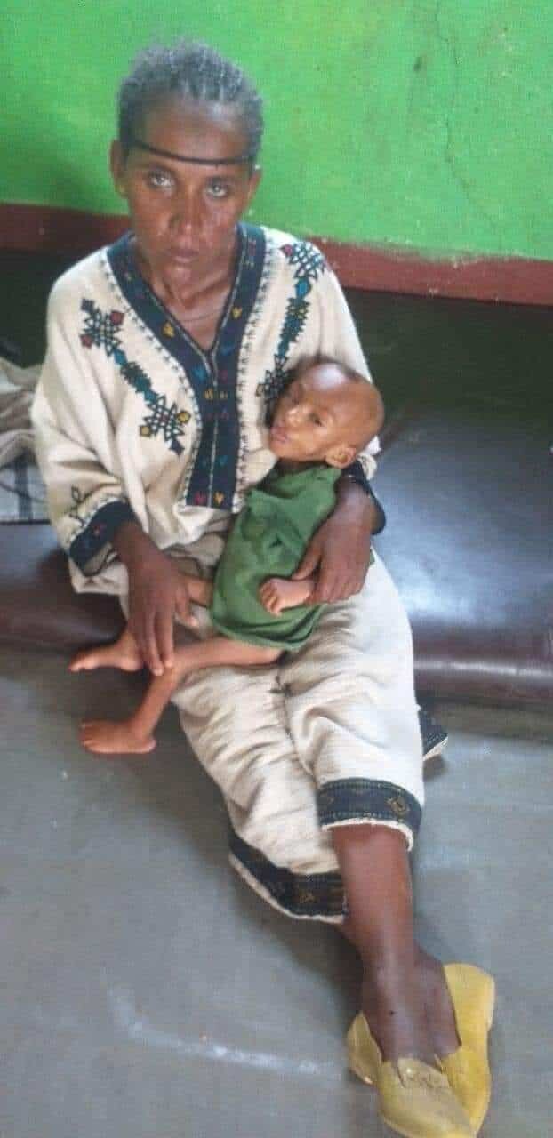 Amhara,Ethiopian Politics