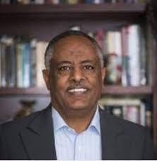 ethiopia,Constitution,Failing