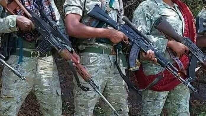 TPLF