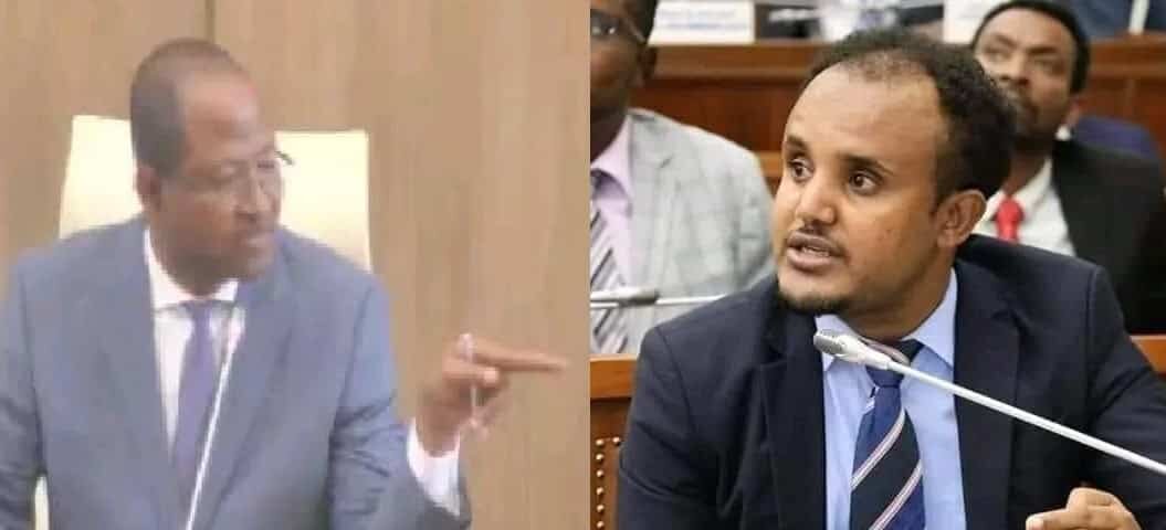 Opposition MPs,Parliament in Protest,Killing of Amharas in Oromia