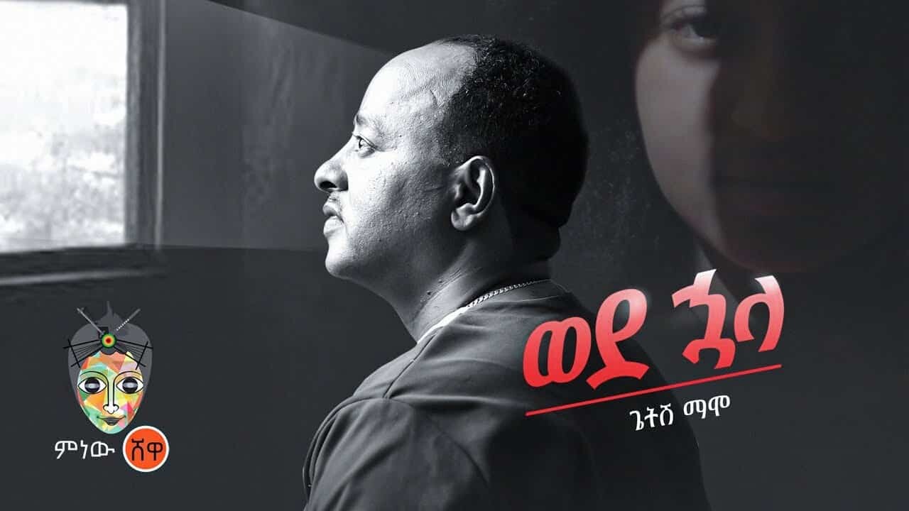 brother of Sibhat Nega,scamm,guilty,Million dollar