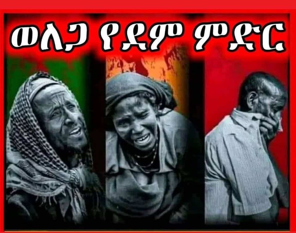 Ethiopia,New Tactics,New Attitudes,Way Forward