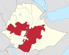 History 101,Oromos,ethiopia