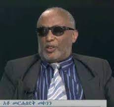 ethiopia,Constitution,Failing