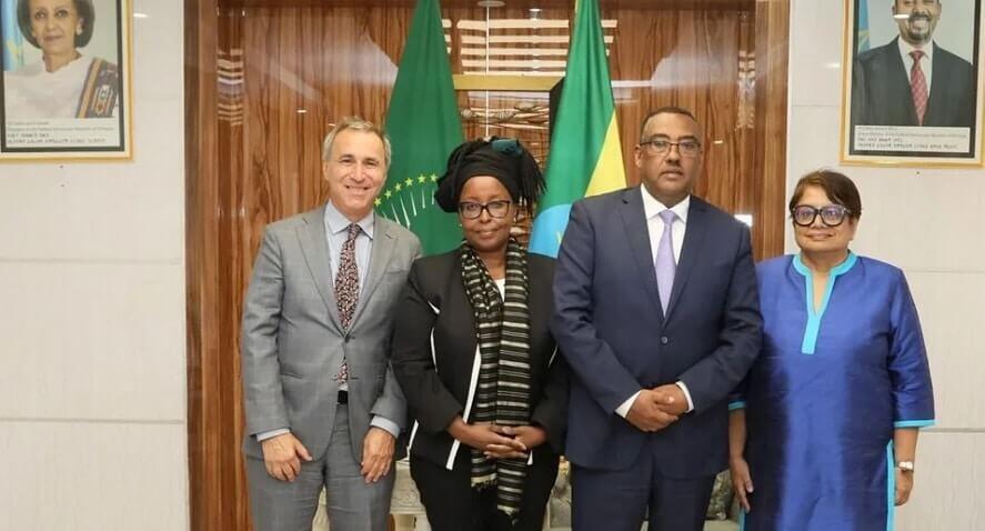 Ethiopia,UN experts,reckless behavior