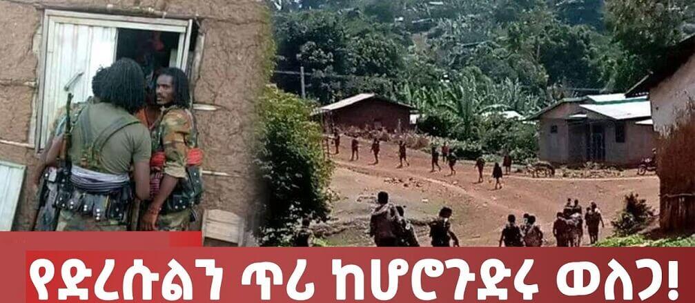 civilians massacred, umuru-district-of-horo-guduru-oromia
