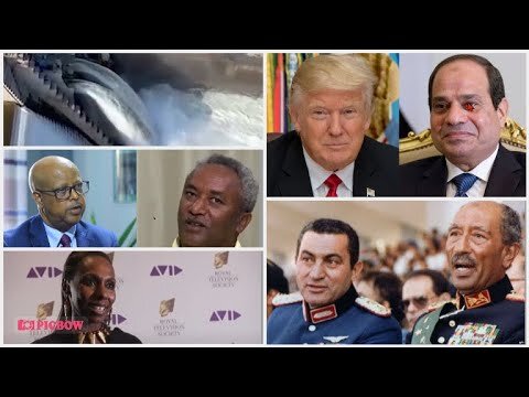Democrats, Pro-Diplomacy Letter, Proxy War Policy