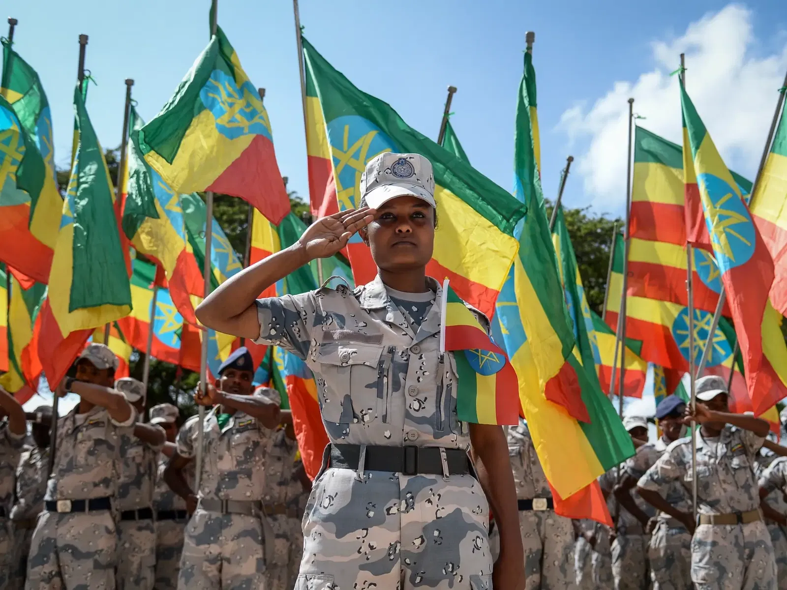 Dr. Aklog Birara, The Art of Dominance, DDR , Peace in Ethiopia,Dr. Aklog Birara, The Art of Dominance, DDR , Peace in Ethiopia