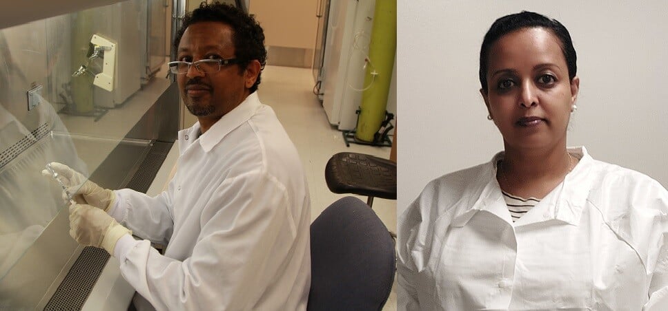 Ethiopian migrants forcibly returned after detention,Saudi Arabia, Ethiopian migrants , r detention