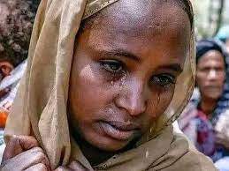 Ethiopian government, disarmament, Tigray force,Ethiopian government, disarmament, Tigray force
