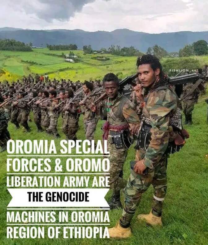 Massacres of the Amhara People in the Oromia Region,Ethnic Massacres , Amhara People, I Oromia Region, Ethiopia