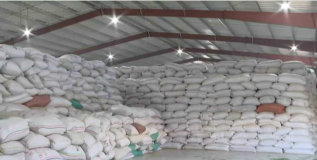 The Domestic Wheat Market Is In Trouble, ethiopia news, ethiopian news, ethiopia news now, tigray news, ethiopia news today amharic cnn ethiopia news today ethiopia news youtube, ethiopian news live, ethiopia today, ethiopia news today, best ethiopian News, latest ethiopian news, ethiopian news 24/7, ethiopian news now, Ethiopia, Latest Ethiopia News 