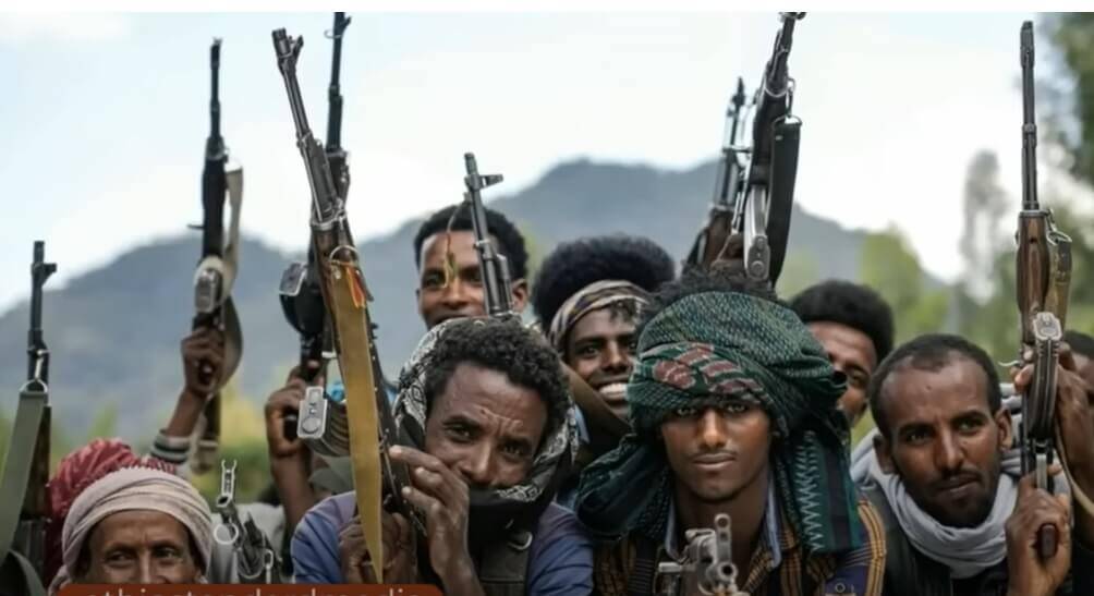 Ethiopia,Amhara,help,fight