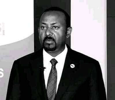 The Amhara Saga