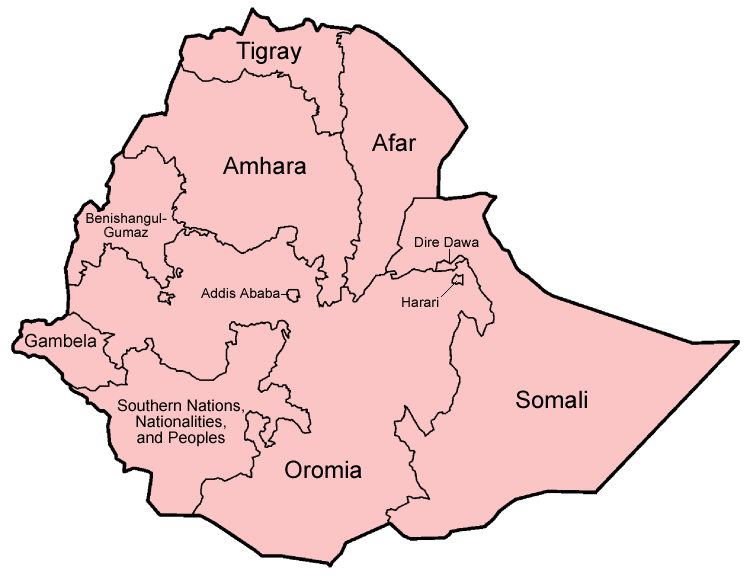 Authoritarian Rule to Democratic