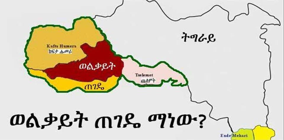 Crisis in Wolkait