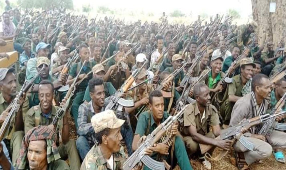 Fano in the Political Turbulence of Ethiopia