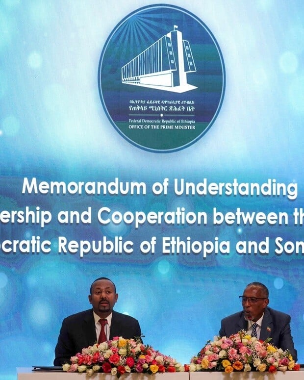 Ethiopian Diaspora Organizations