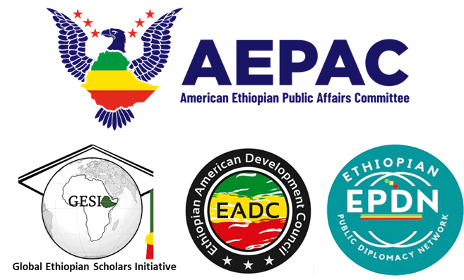 Ethiopian Diaspora Organizations